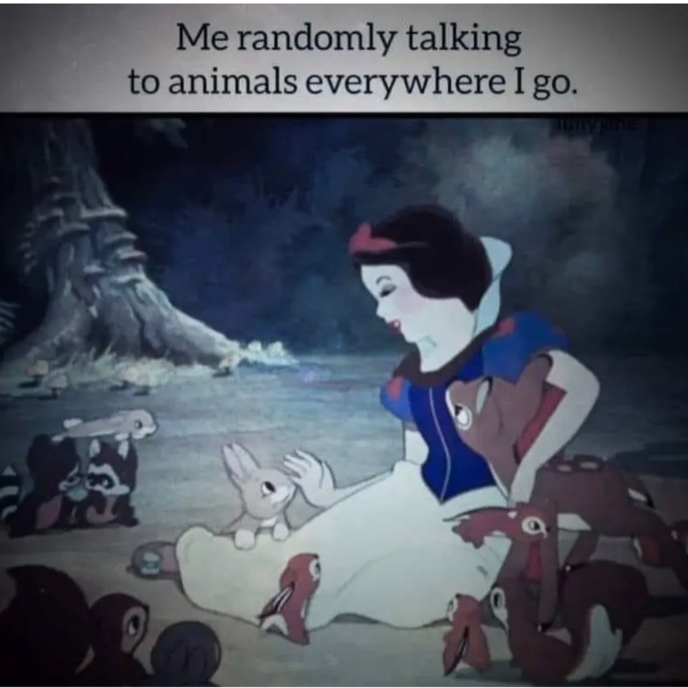True Story bruh…